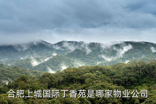 合肥上城國際丁香苑是哪家物業(yè)公司