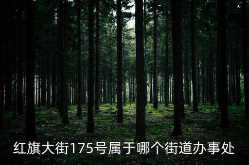 紅旗大街175號(hào)屬于哪個(gè)街道辦事處