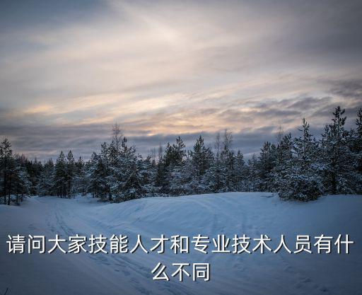 請問大家技能人才和專業技術人員有什么不同