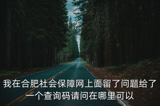 我在合肥社會保障網上面留了問題給了一個查詢碼請問在哪里可以