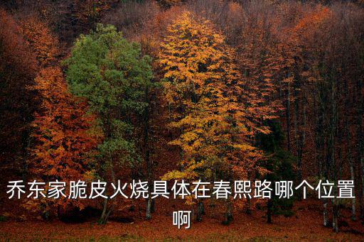 喬東家脆皮火燒具體在春熙路哪個位置啊