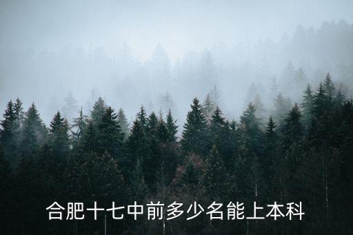 合肥十七中，合肥十七中與二十八中哪個高考升學率高
