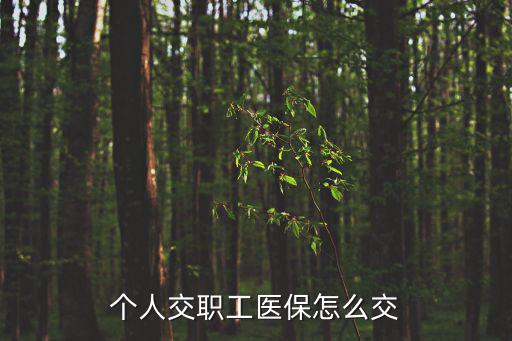 個人繳納醫保，個人交職工醫保怎么交