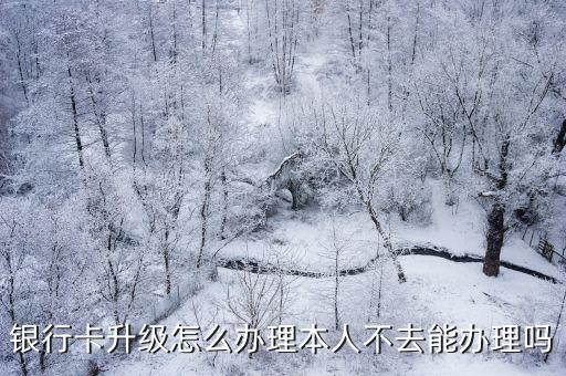 銀行卡升級怎么辦理本人不去能辦理嗎