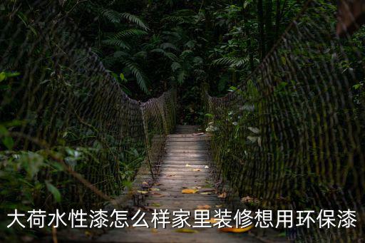大荷水性漆，大荷水性漆刷了多久才可以進(jìn)去住