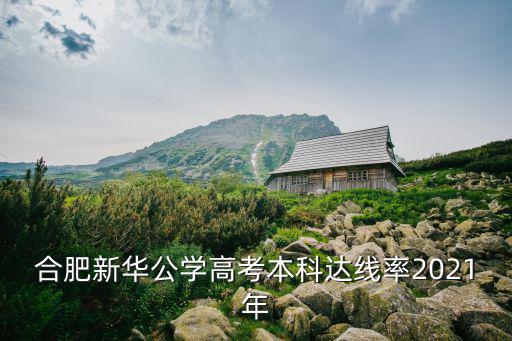 合肥新華公學高考本科達線率2021年