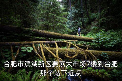 合肥市濱湖新區(qū)要素大市場7樓到合肥那個站下近點