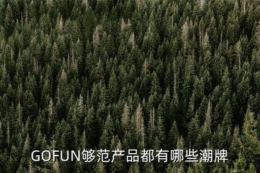 GOFUN夠范產品都有哪些潮牌
