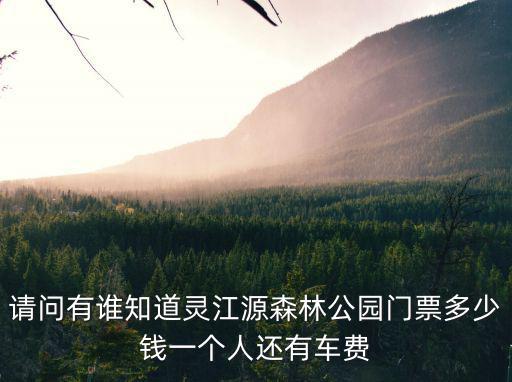 靈江源森林公園，磐安縣靈江源森林公園好玩嗎