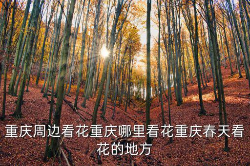 重慶周邊看花重慶哪里看花重慶春天看花的地方