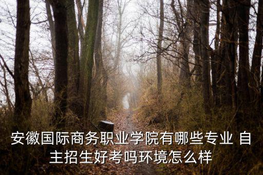 安徽國際商務(wù)職業(yè)學院有哪些專業(yè) 自主招生好考嗎環(huán)境怎么樣