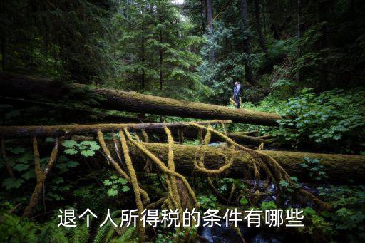 退個(gè)人所得稅的條件有哪些