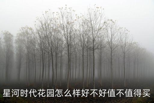 星河時代花園怎么樣好不好值不值得買