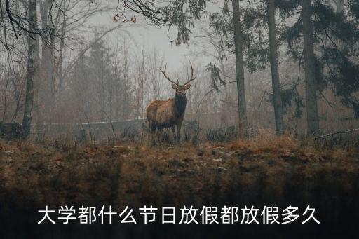 高校放假，大學都什么節日放假都放假多久