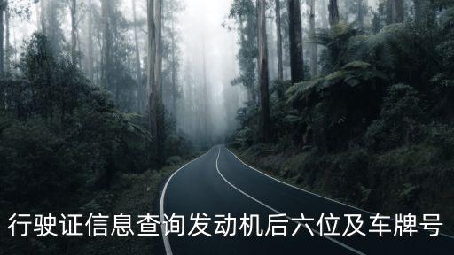 行駛證查詢，行駛證信息查詢發(fā)動機后六位及車牌號