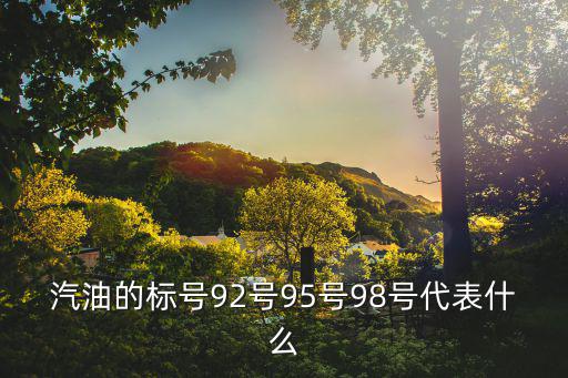 汽油的標(biāo)號(hào)92號(hào)95號(hào)98號(hào)代表什么