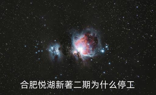 合肥悅湖新著二期為什么停工