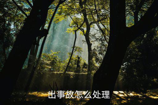 出事故怎么處理
