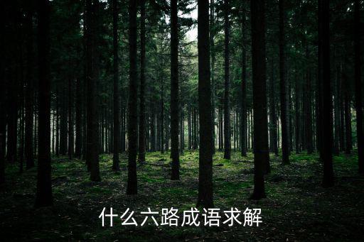 什么六路成語求解
