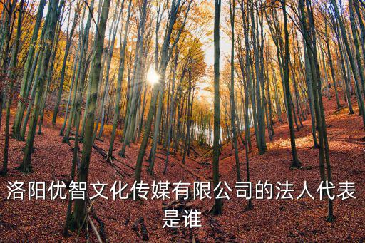優智，洛陽優智文化傳媒有限公司的法人代表是誰