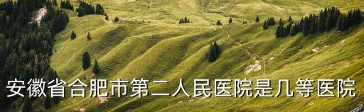 安徽省合肥市第二人民醫院是幾等醫院