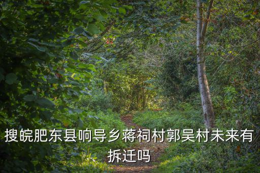 搜皖肥東縣響導鄉蔣祠村郭吳村未來有拆遷嗎