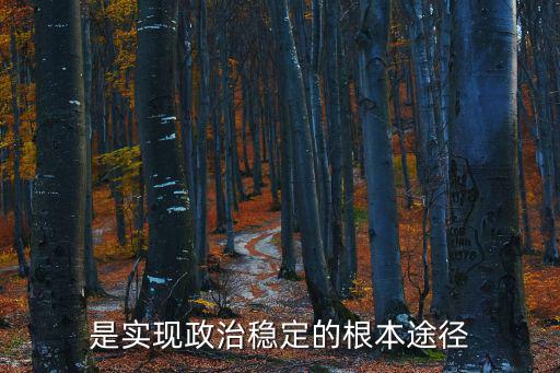 是實(shí)現(xiàn)政治穩(wěn)定的根本途徑