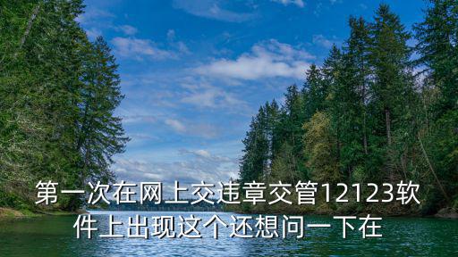 交管12123，第一次在網上交違章交管12123軟件上出現這個還想問一下在