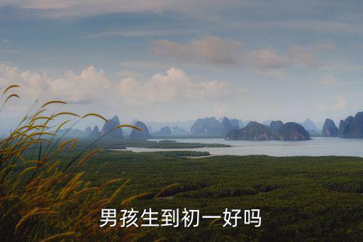 七年級生，初一的生字有那些