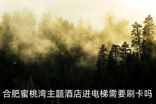 合肥蜜桃灣主題酒店進電梯需要刷卡嗎