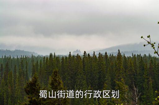 蜀山街道的行政區(qū)劃