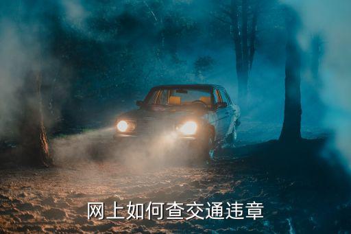 查交通違章，網上如何查交通違章