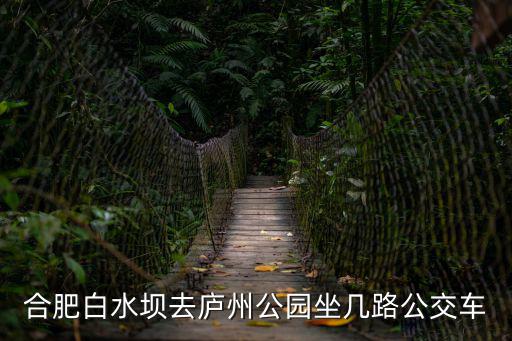 廬州公園，合肥白水壩去廬州公園坐幾路公交車