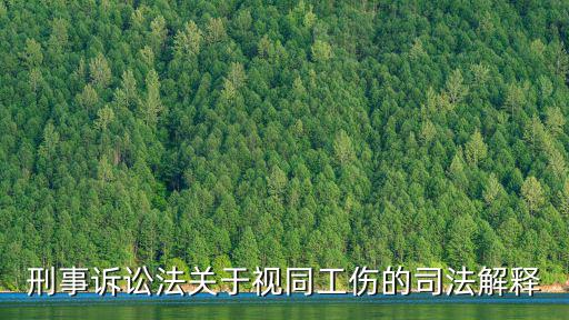 刑事訴訟法關于視同工傷的司法解釋