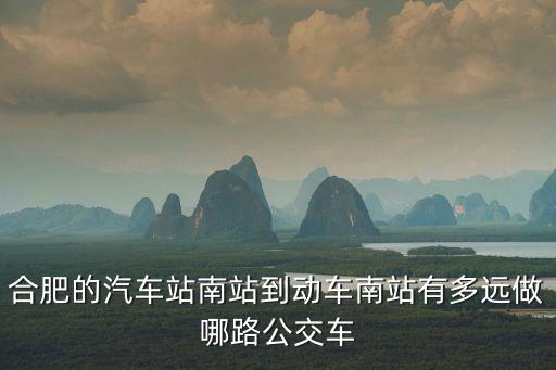 合肥的汽車站南站到動(dòng)車南站有多遠(yuǎn)做哪路公交車