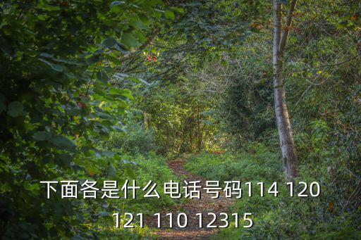 電話號碼大全，什么地方的電話電話號碼有15個
