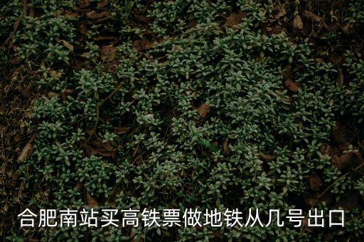 合肥南站買高鐵票做地鐵從幾號出口
