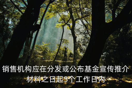 銷售機(jī)構(gòu)應(yīng)在分發(fā)或公布基金宣傳推介材料之日起5個工作日內(nèi)