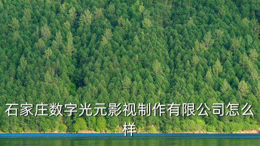 數字石家莊，石家莊數字光元影視制作有限公司怎么樣