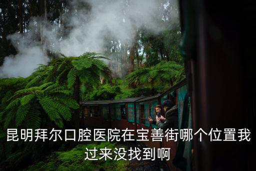 昆明拜爾口腔醫院在寶善街哪個位置我過來沒找到啊