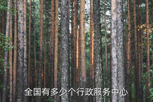 全國有多少個行政服務中心