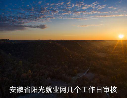 安徽省陽光就業(yè)網(wǎng)幾個(gè)工作日審核