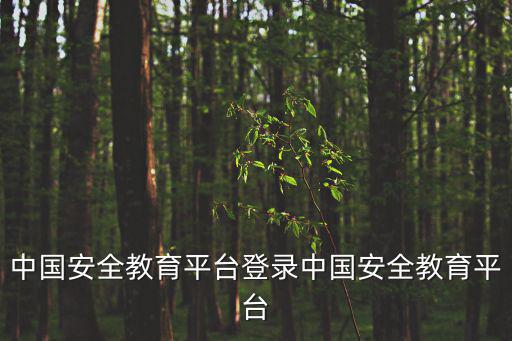 中國(guó)安全教育平臺(tái)登錄中國(guó)安全教育平臺(tái)