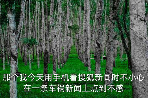 那個(gè)我今天用手機(jī)看搜狐新聞時(shí)不小心在一條車禍新聞上點(diǎn)到不感