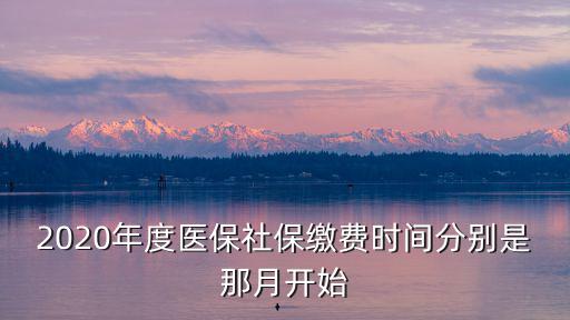 醫(yī)保繳費時間，2020年度醫(yī)保社保繳費時間分別是那月開始