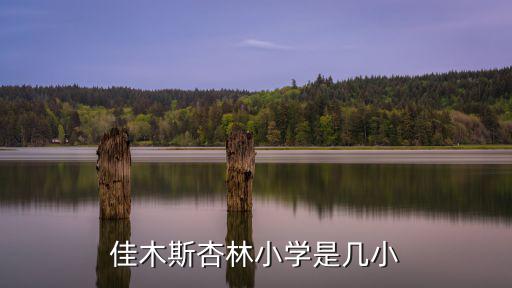 杏林小學(xué)，佳木斯杏林小學(xué)是幾小
