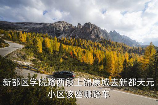 新都區(qū)學(xué)院路西段上錦康城去新都天元小區(qū)該座哪路車