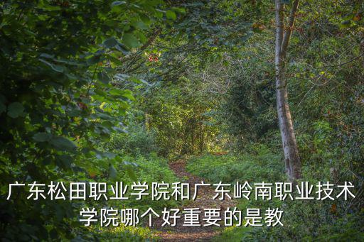 松田職業(yè)技術(shù)學(xué)院，廣州松田職業(yè)學(xué)院和順德職業(yè)技術(shù)學(xué)院哪個好