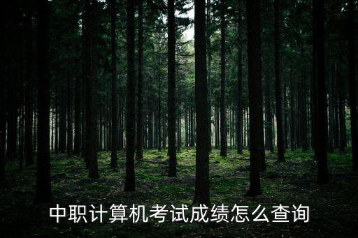 計算機考試成績查詢，計算機二級考試成績查詢方法