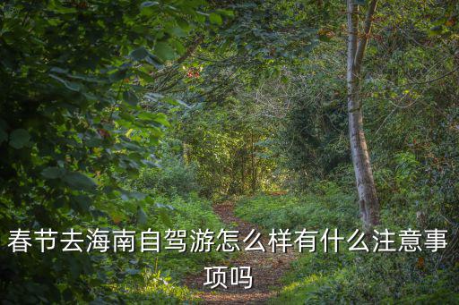 春節(jié)去海南自駕游怎么樣有什么注意事項(xiàng)嗎